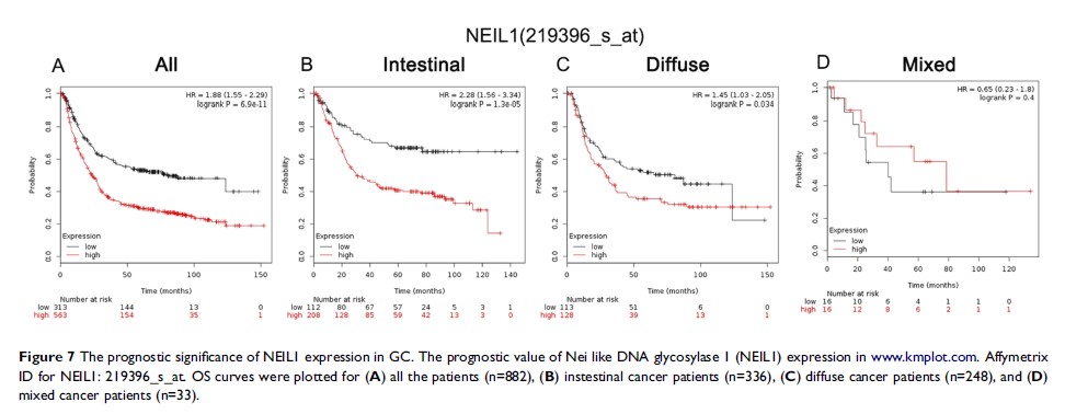 Figure 7 The prognostic significance of NEIL1 expression in GC...
